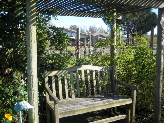 Pearlessence Vineyard Inn Sebastopol Εξωτερικό φωτογραφία